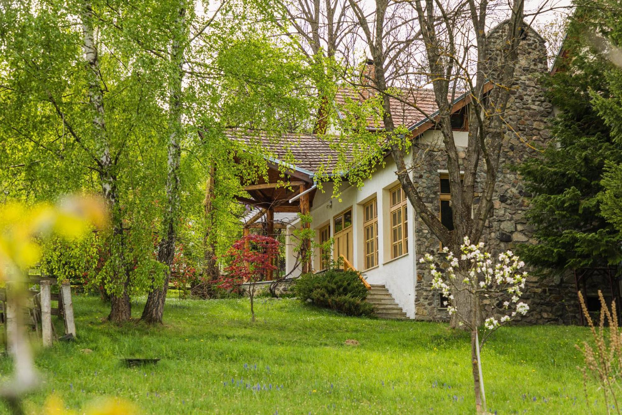 Villa Alba By Akasha Retreat Bran  Esterno foto